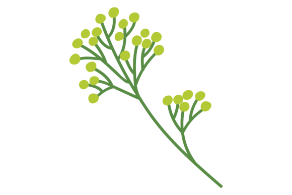 Blooming Branch: Graphics for Botanical Branding