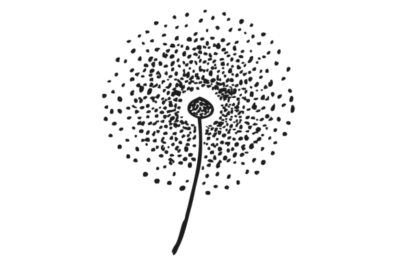 Decorative Dandelion Sketch. Hand Drawn