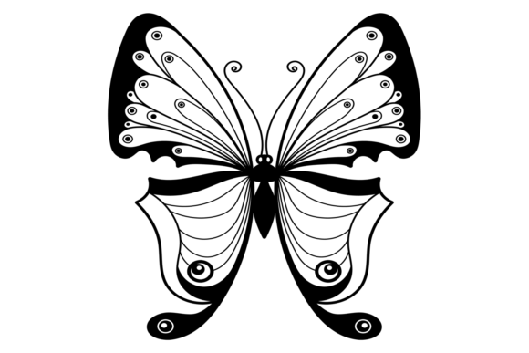 Decorative Moth with Black Ornament Wing