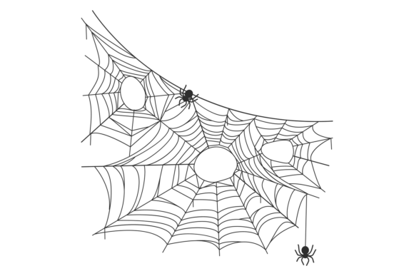 Decorative Spider Net. Black Line Cobweb Graphics
