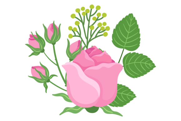 Pink Rose Branch. Decorative Flowers and Graphics