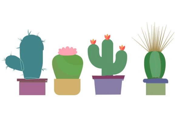 Plant Cactus Decorative Art